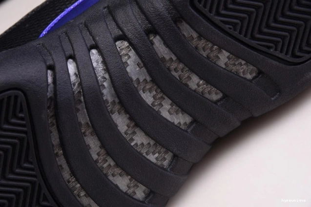 HYPE CT8013 'Dark 005 Concord' Retro Jordan 12 Air 0725